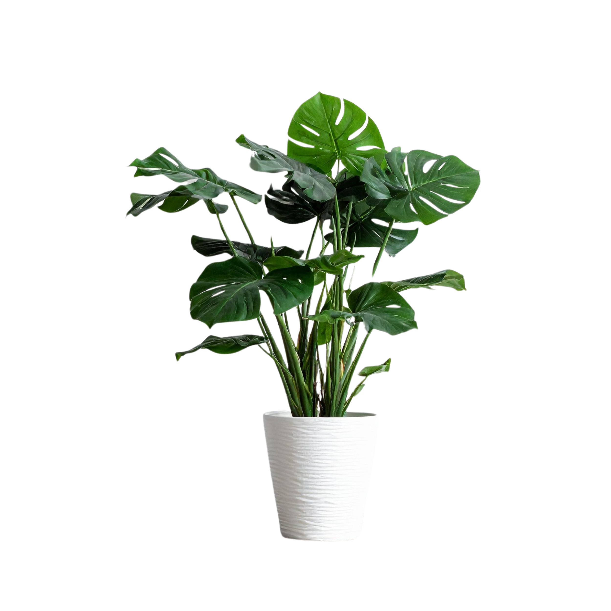 Plante artificielle