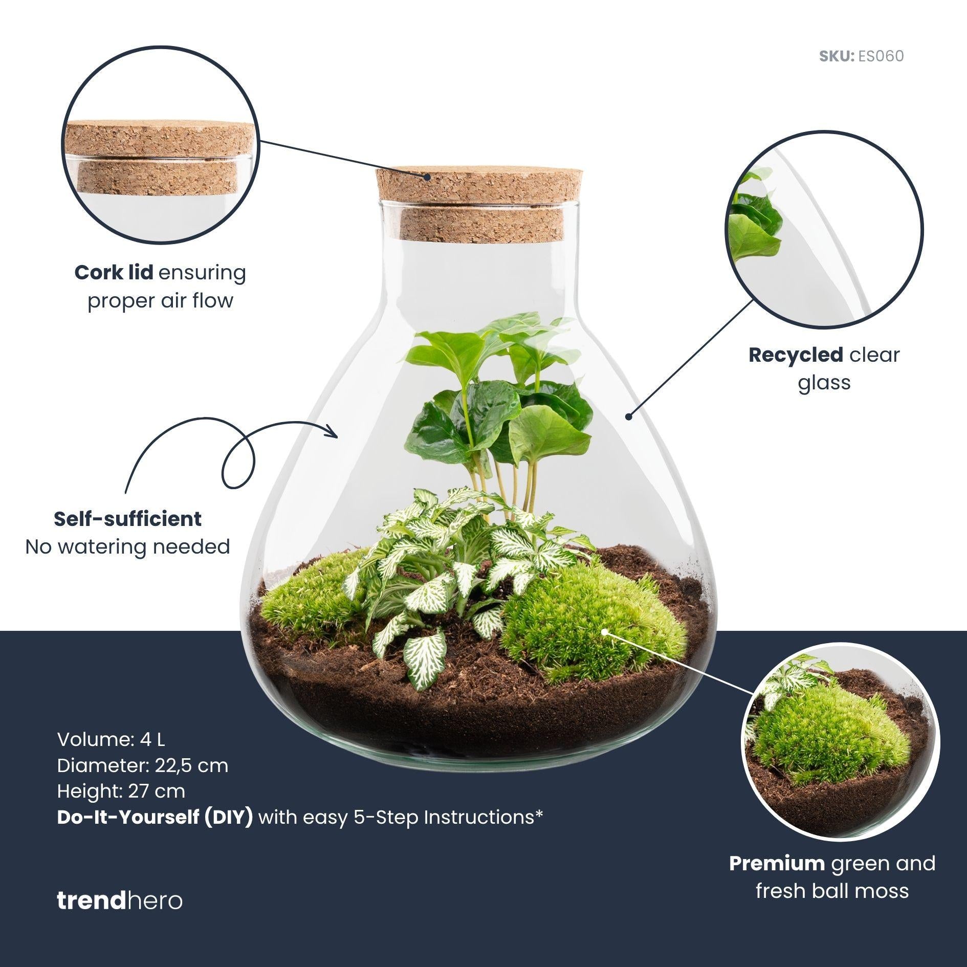Terrarium pour plantes à faire soi-même – Sammie Coffea White – ↕ 27 cm
