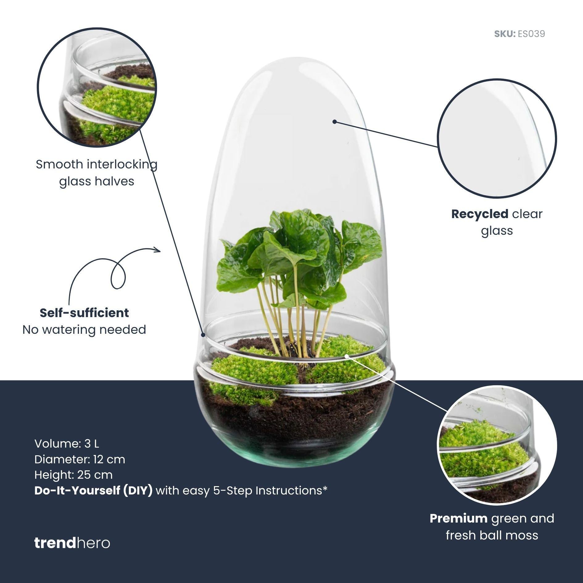 Terrarium à plantes DIY en forme de dôme en verre deux pièces - Egg Coffea - Ø 12 cm ↑ 25 cm