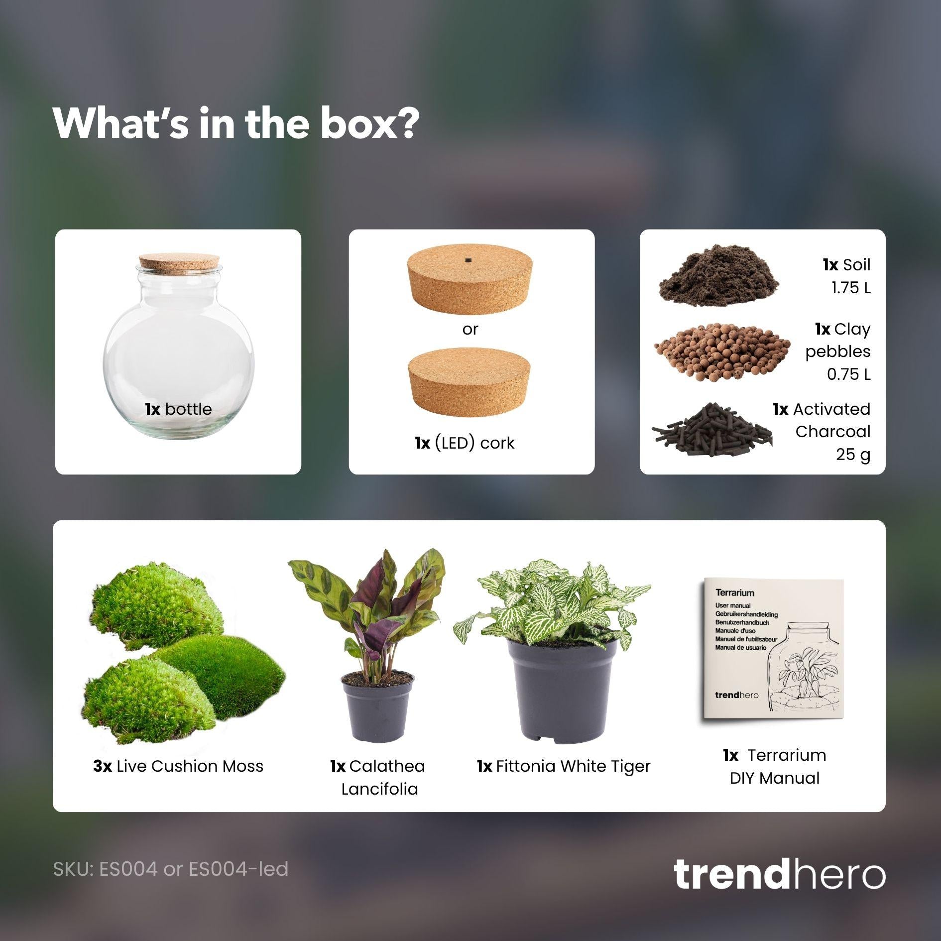 Terrarium pour plantes à monter soi-même (avec éclairage) - Teddy - Ø 25 cm ↑ 26,5 cm - Avec bouchon LED