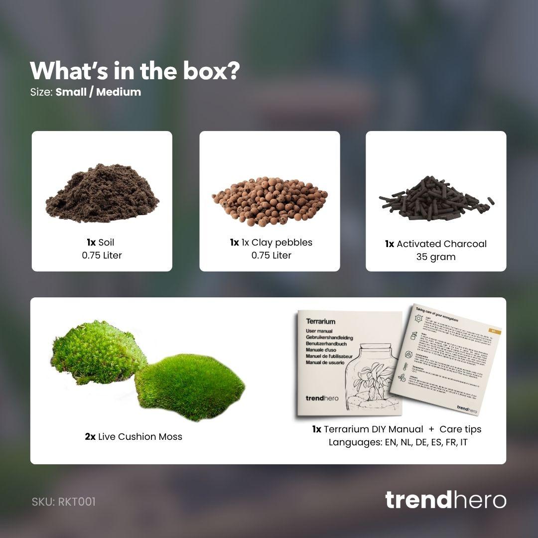 Recharge et kit de démarrage pour terrarium à plantes - Taille S/M