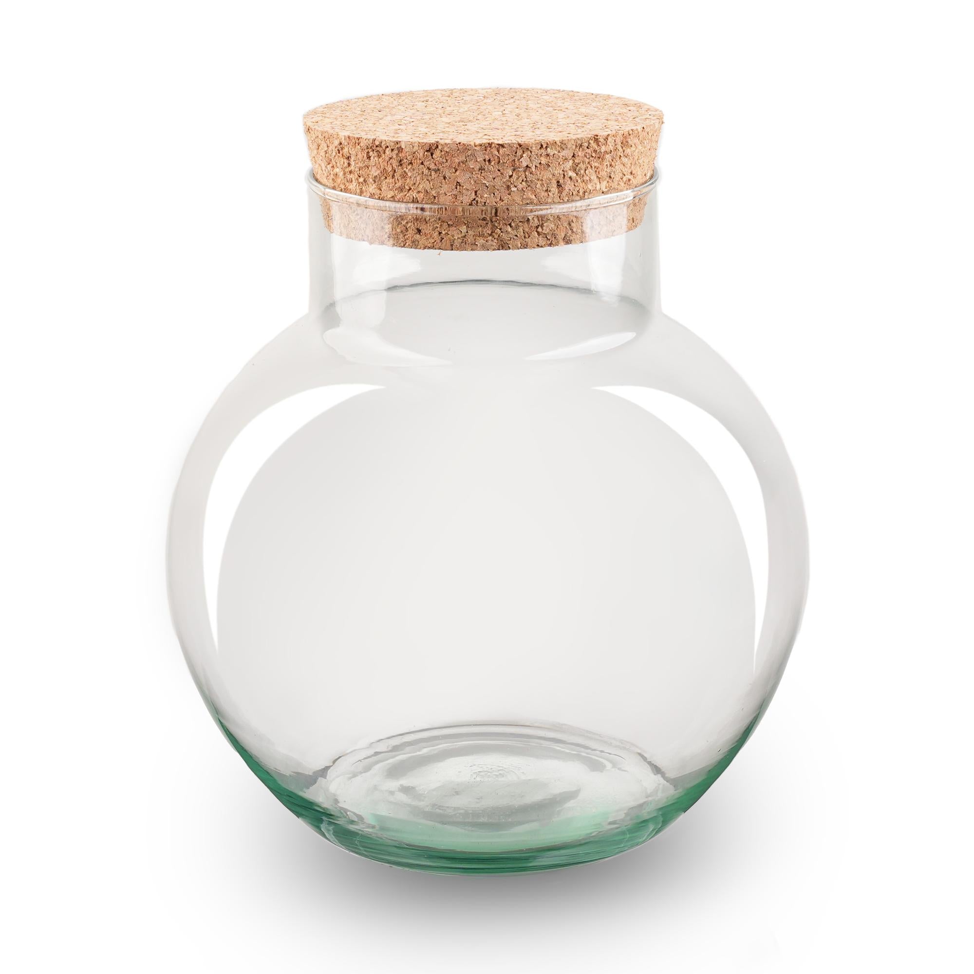 Bouteille terrarium avec bouchon en liège - Noah - Ø 18,5 cm ↑ 19 cm