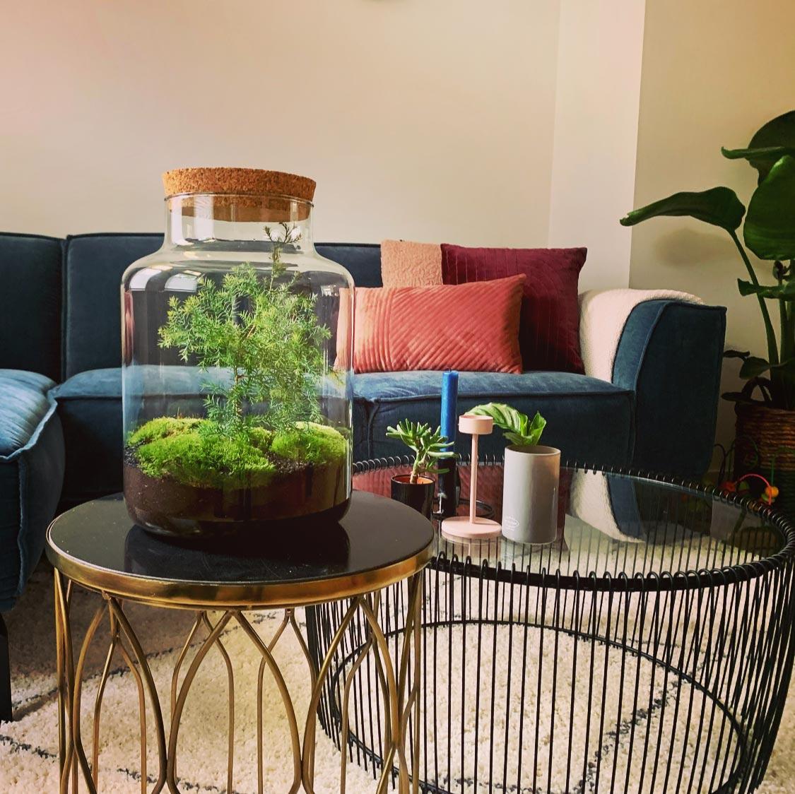 Terrarium à faire soi-même - Bocal de Noël - ↕ 28 cm