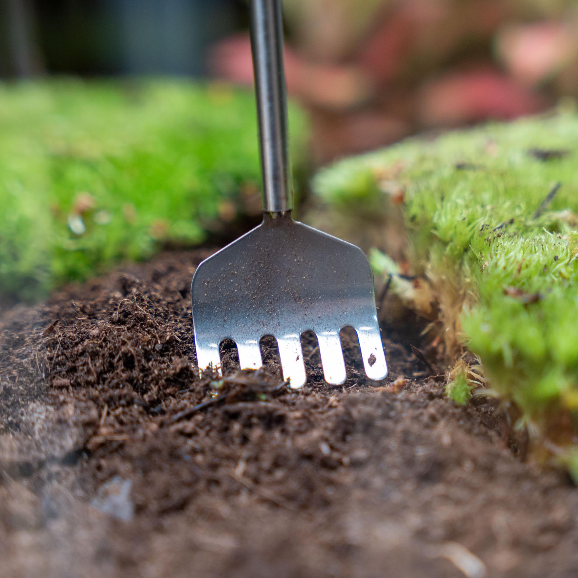 Outil pour terrarium - Râteau - 16-49 cm - Télescopique - Acier inoxydable (RVS)