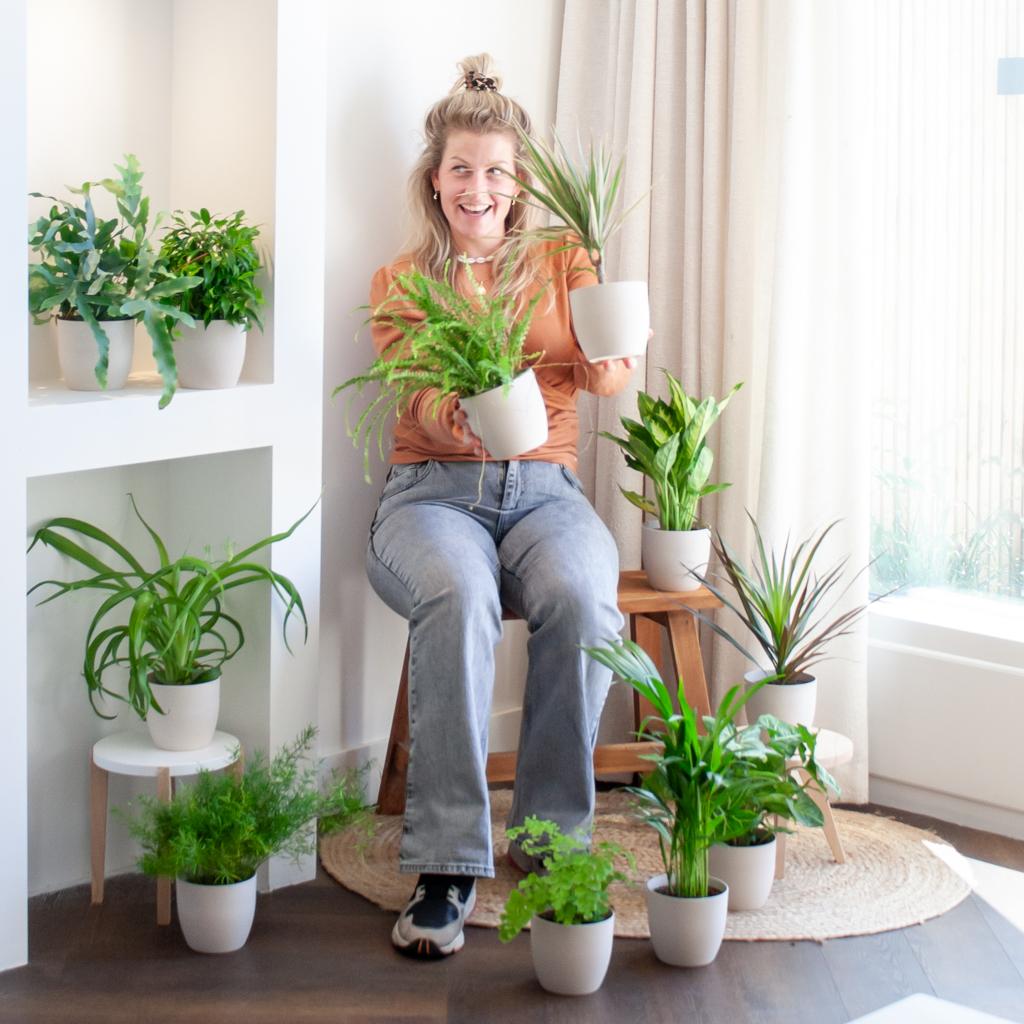 Coffret Green Bruises (12 pièces) - comprenant 12 pots de Viber blanc