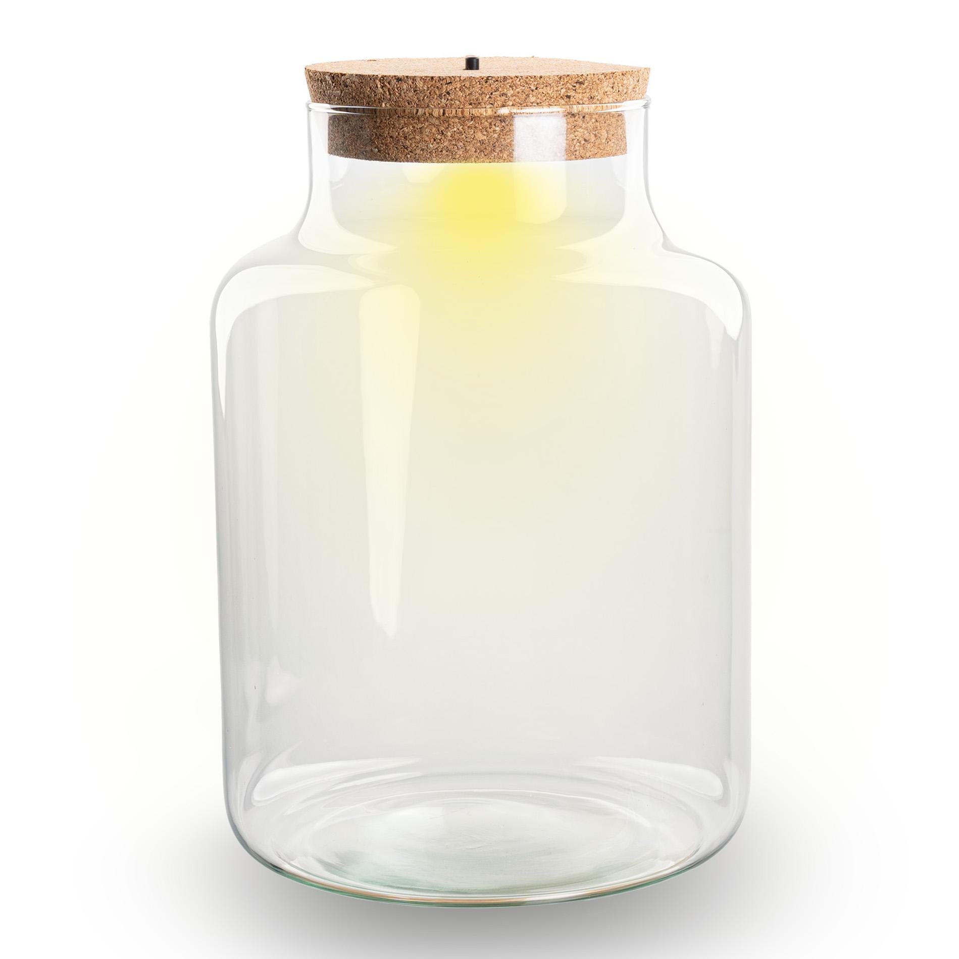 Bouteille terrarium lumineuse - Little Milky - Ø 17 cm ↑ 25 cm