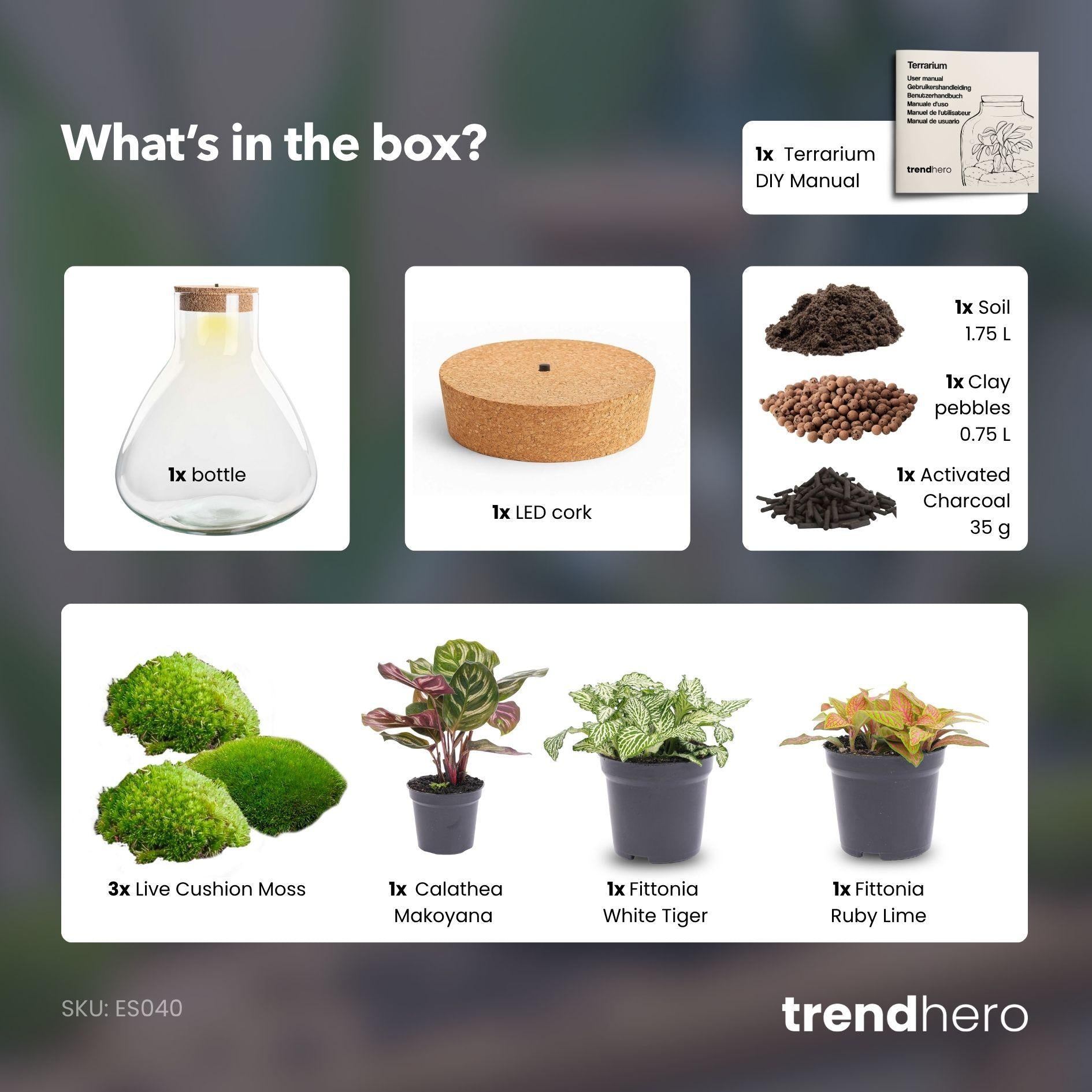 Terrarium à plantes à monter soi-même avec éclairage - Sam XL Rouge - Ø 30 cm ↑ 32 cm - Sans outils