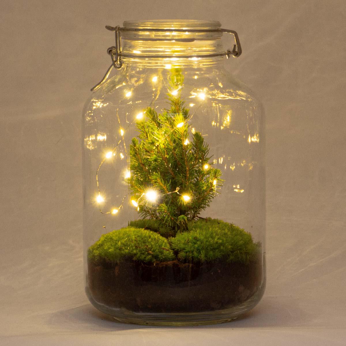 Terrarium à faire soi-même - Bocal de Noël - ↕ 28 cm