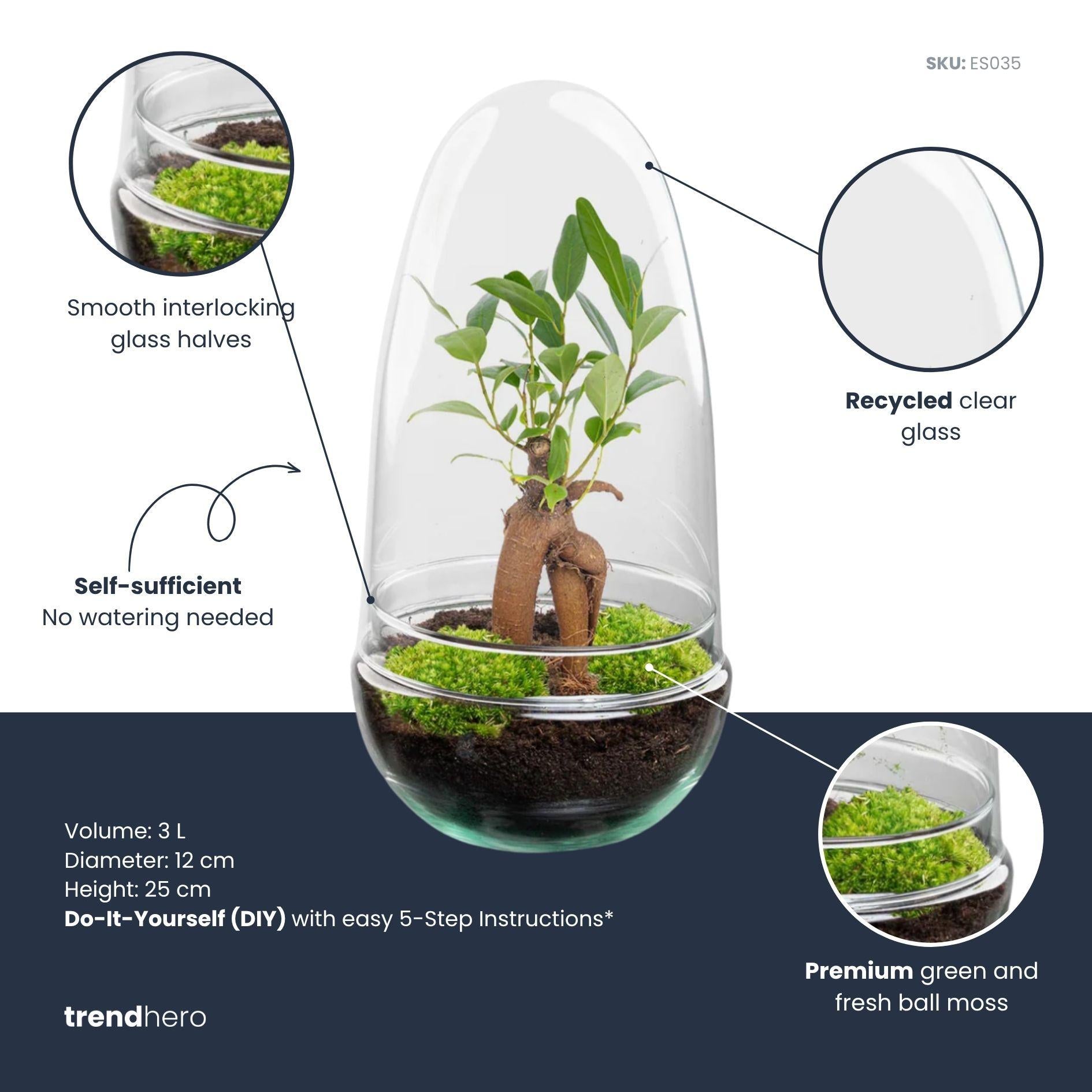 Terrarium à plantes DIY en deux parties, globe en verre - Bonsaï œuf - Ø 12 cm ↑ 25 cm