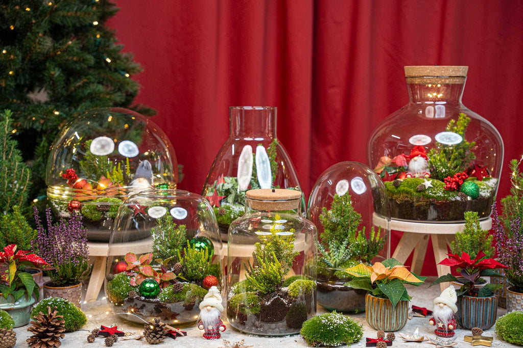 Terrarium de Noël givré - Kit de terrarium végétal à faire soi-même pour Noël - Ø 17 cm ↑ 25 cm