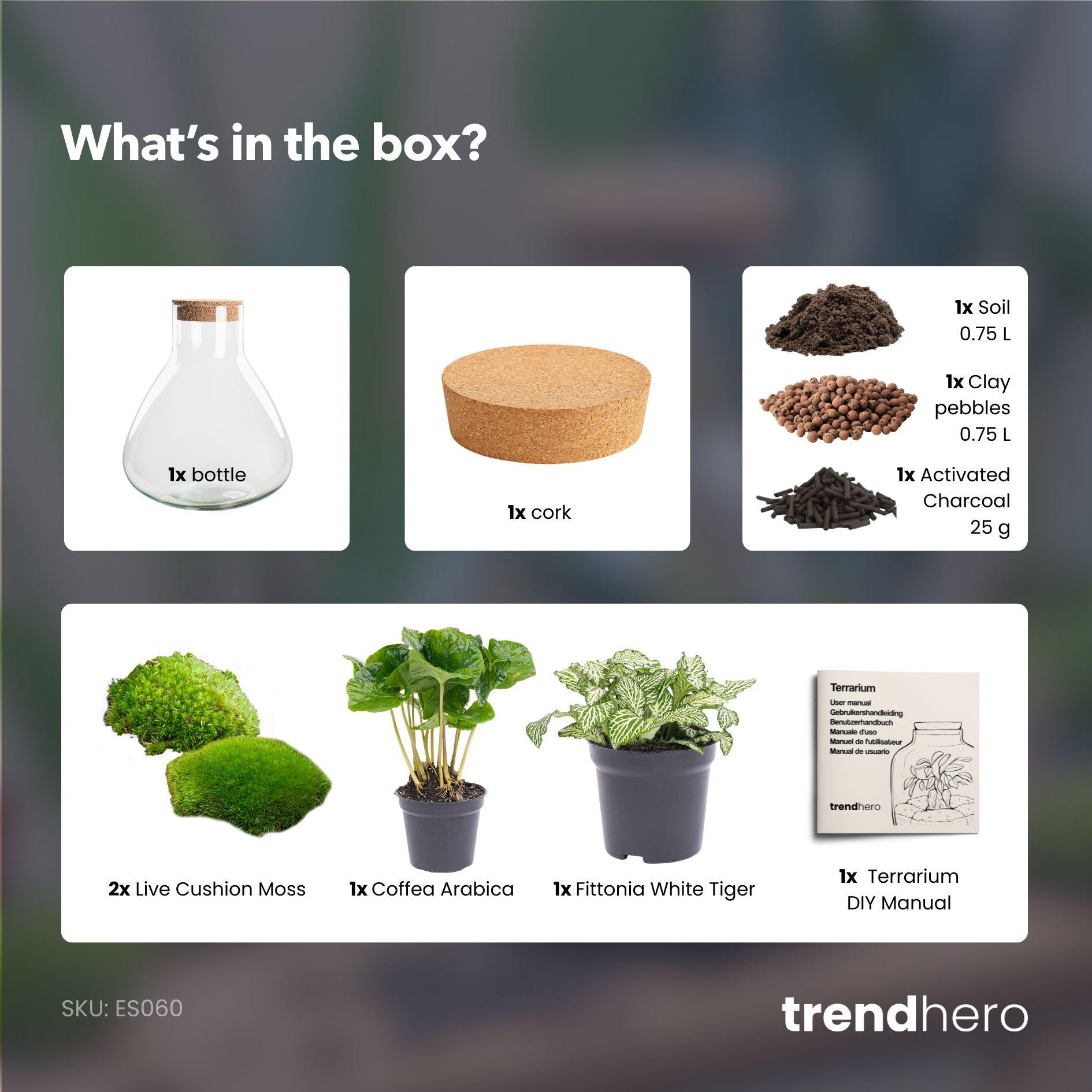 Terrarium pour plantes à faire soi-même – Sammie Coffea White – ↕ 27 cm