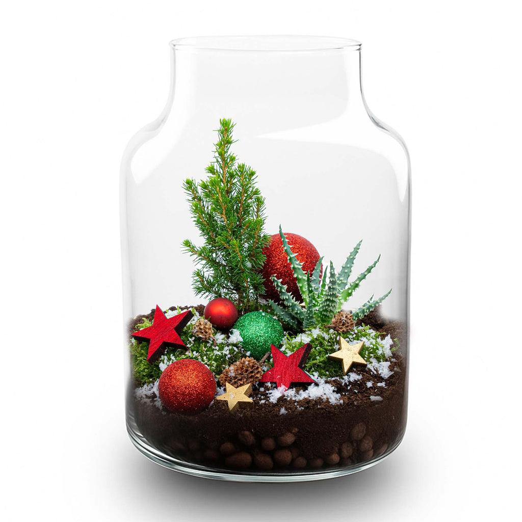 Terrarium de Noël givré - Kit de terrarium végétal à faire soi-même pour Noël - Ø 17 cm ↑ 25 cm