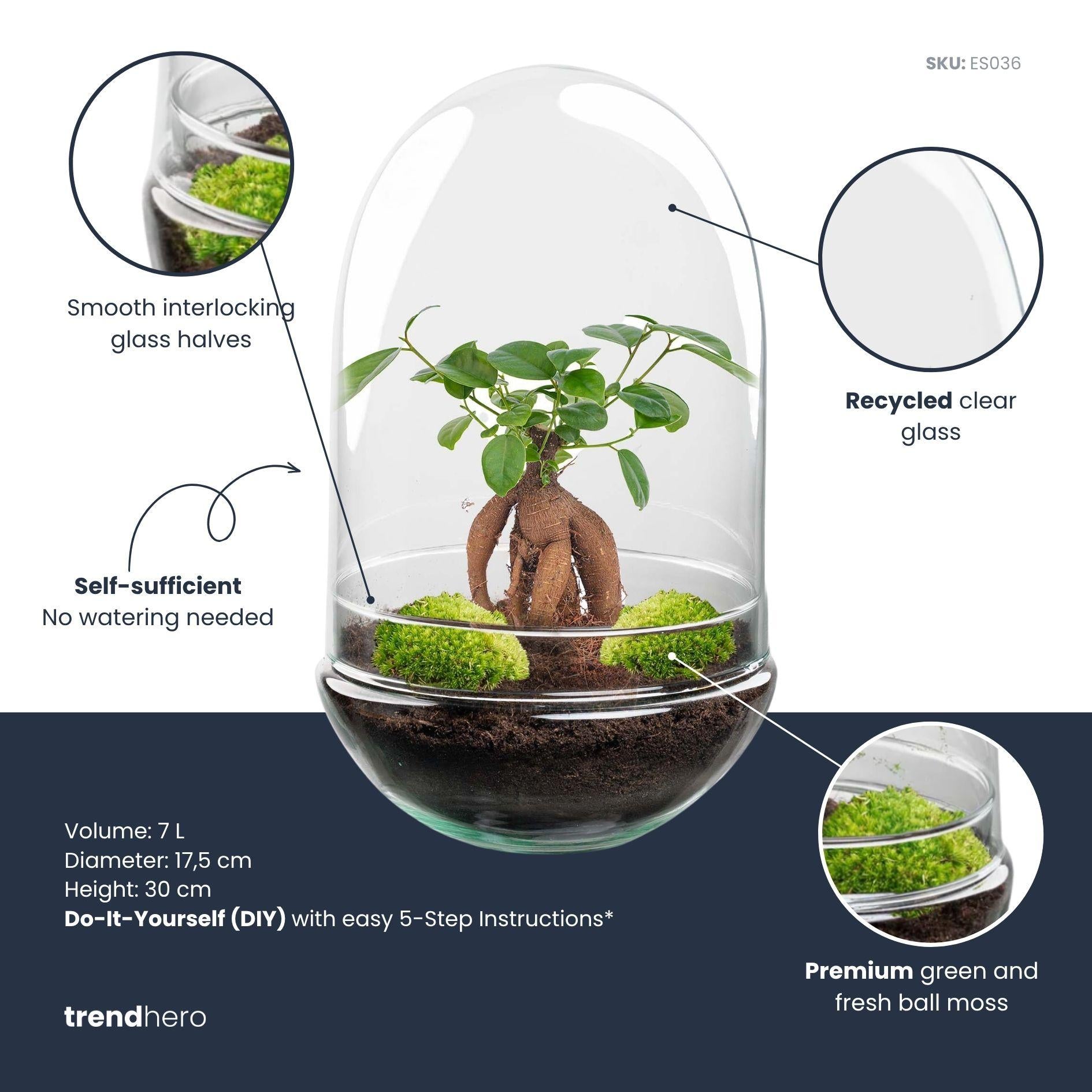 Terrarium à plantes DIY en deux parties, globe en verre - Egg XL Bonsai - Ø 17,5 cm ↑ 30 cm