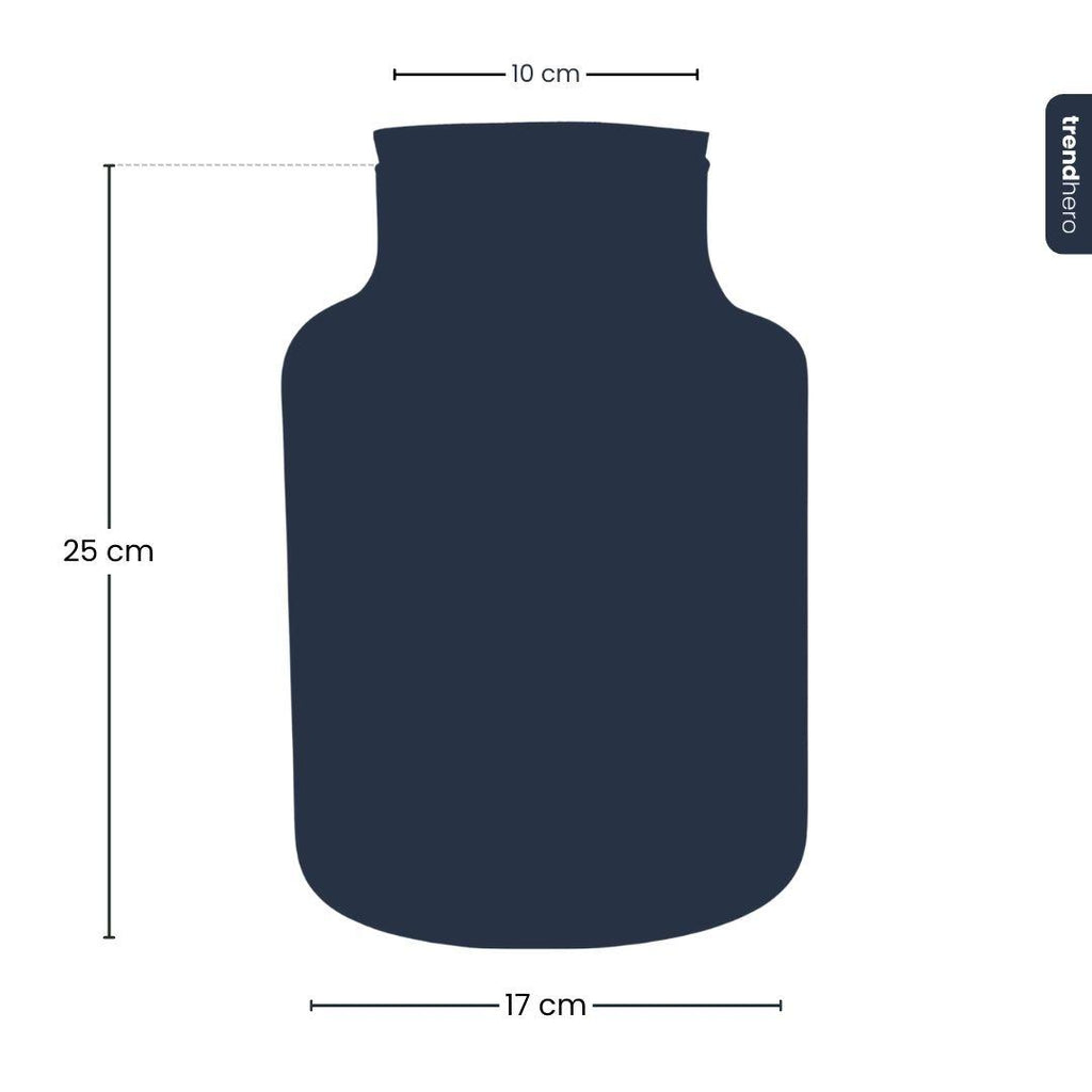 Terrarium de Noël givré - Kit de terrarium végétal à faire soi-même pour Noël - Ø 17 cm ↑ 25 cm