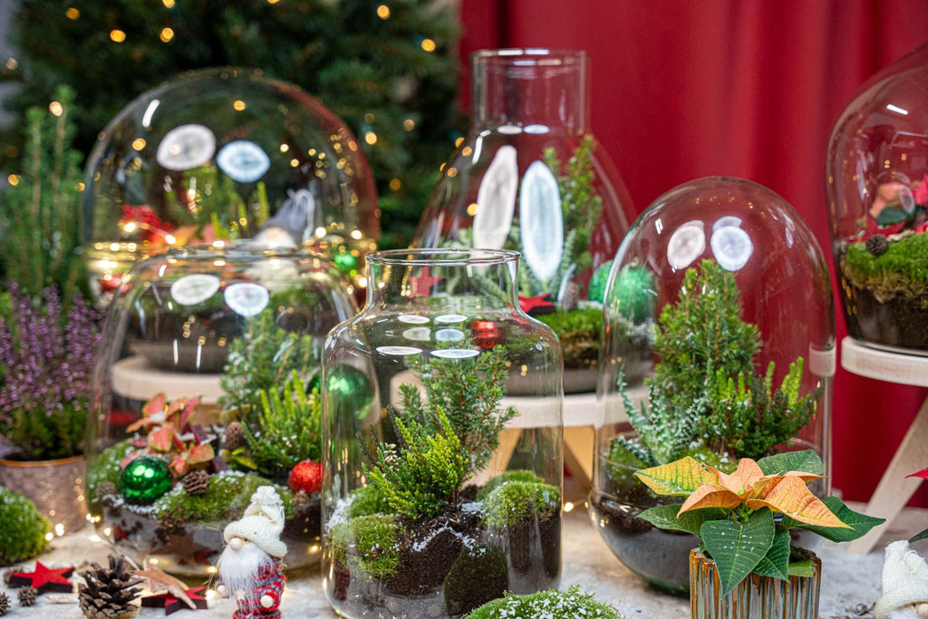 Terrarium de Noël aux baies - Terrarium végétal - Kit de Noël à faire soi-même - Ø 19 cm ↑ 20 cm