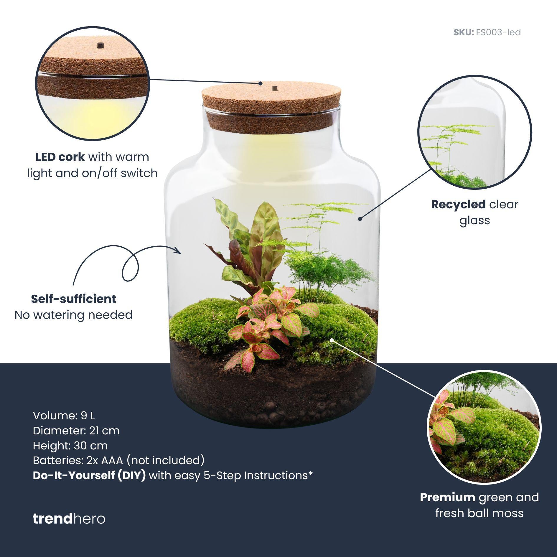 Terrarium à plantes à monter soi-même avec éclairage - Couleur laiteuse - Ø 21 cm ↑ 30 cm - Sans outils