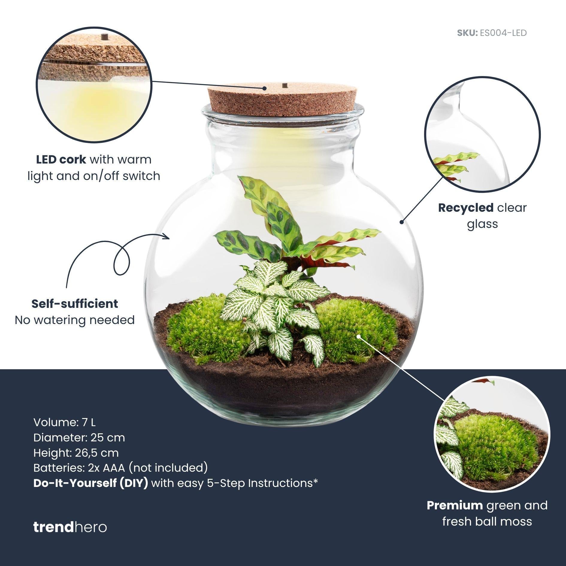 Terrarium pour plantes à monter soi-même (avec éclairage) - Teddy - Ø 25 cm ↑ 26,5 cm - Avec bouchon LED