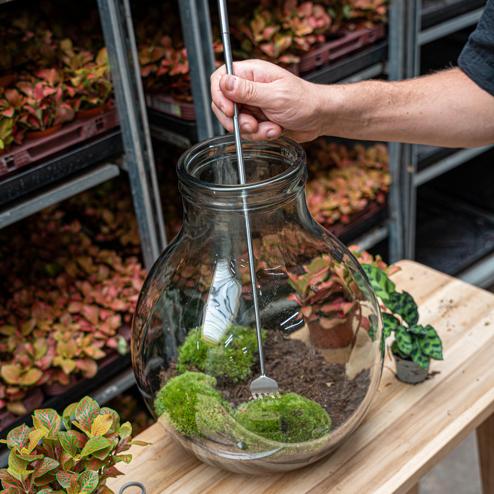 Outil pour terrarium - Râteau - 16-49 cm - Télescopique - Acier inoxydable (RVS)